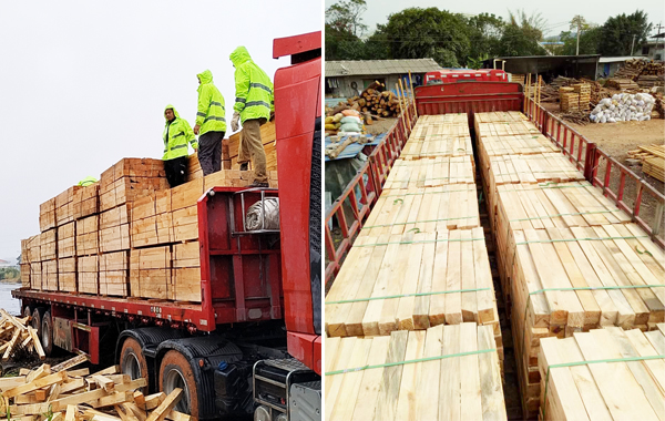 廣東肇慶工程項(xiàng)目建筑木方卸車現(xiàn)場(chǎng)圖